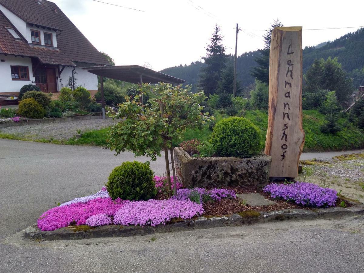 Lehmannshof Ferienwohnungen Zell am Harmersbach Exterior foto